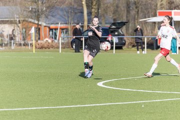 Bild 169 - wBJ SV Wahlstedt - SV Henstedt Ulzburg : Ergebnis: 0:1